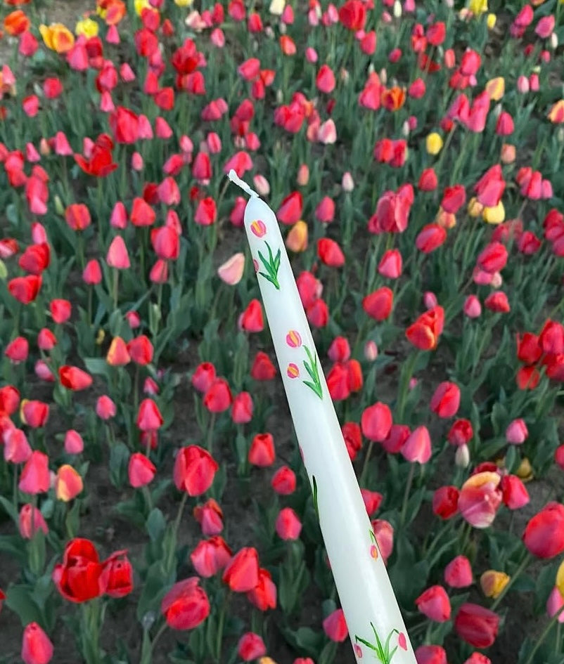 Tulips Collection